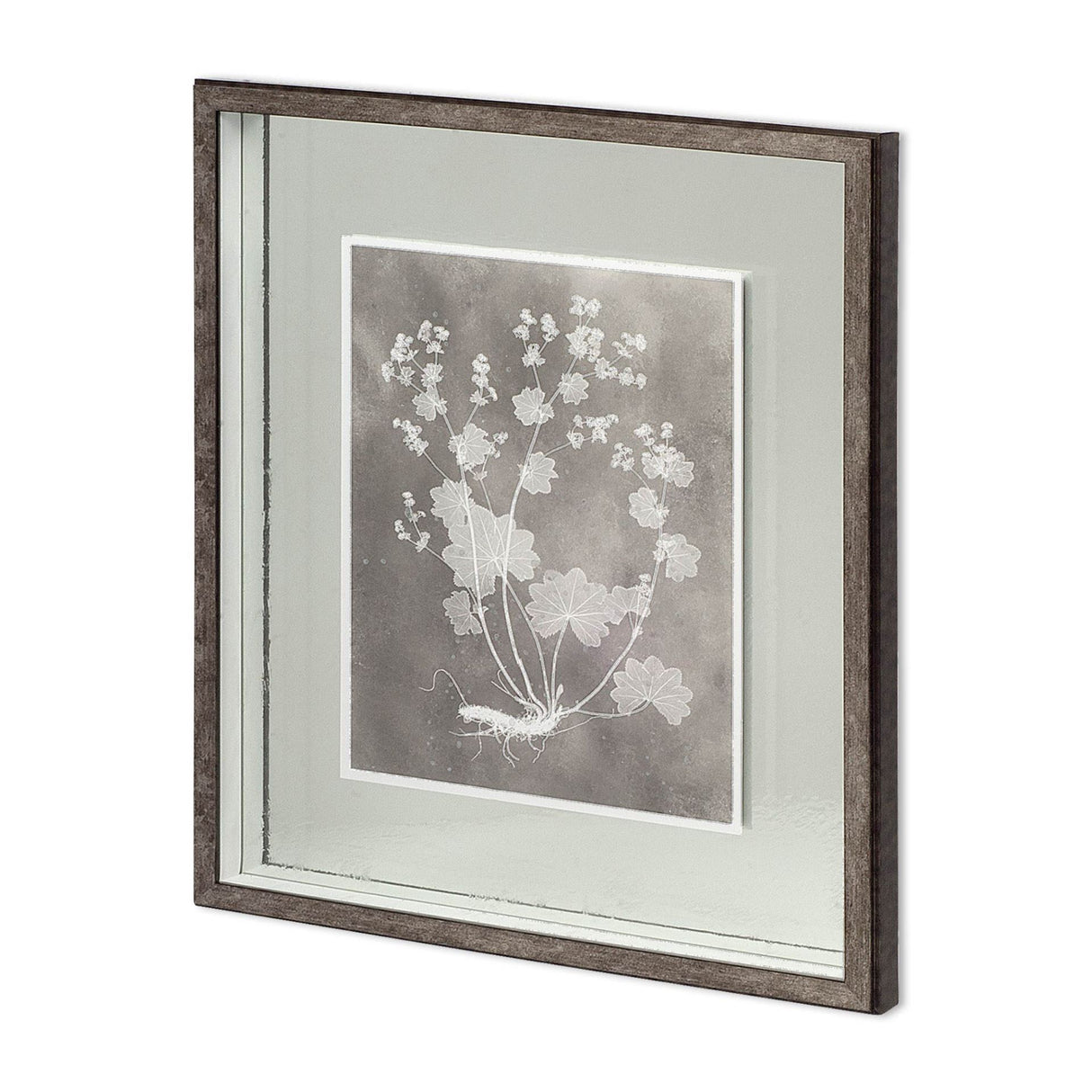 Custom Herbarium Study I by Vision Studio Hand Embellished Framed Art Print Matted under Glass from Mercana - Luna Furniture