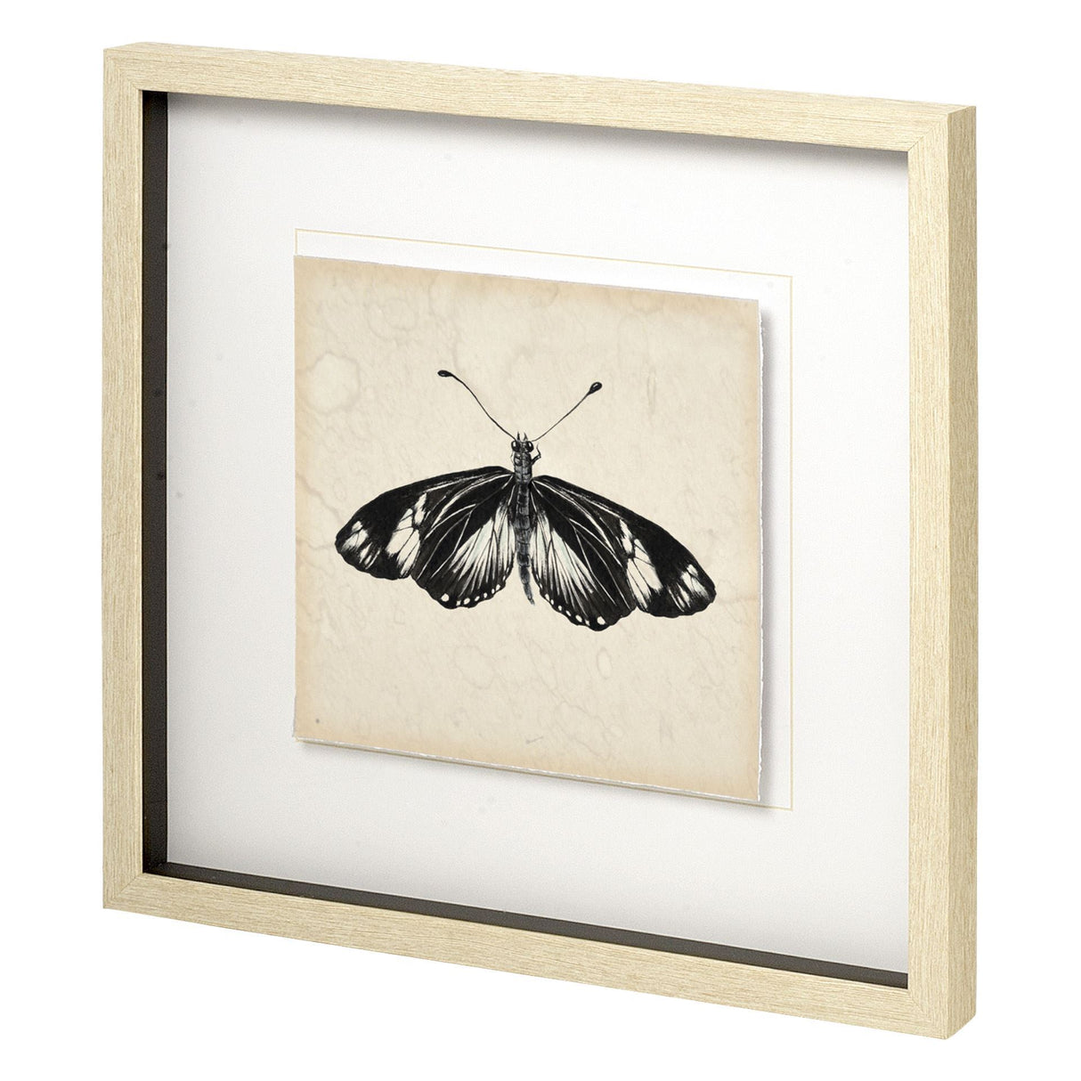 Butterfly Study VI by Melissa Wang a Hand Embellished Textured Framed Art Print Matted under Glass from Mercana - Luna Furniture