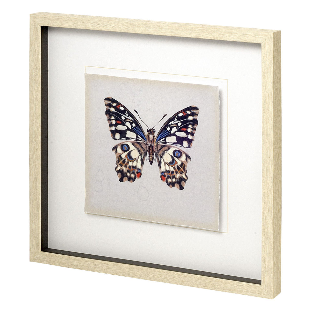 Butterfly Study II by Melissa Wang a Hand Embellished Textured Framed Art Print Matted under Glass from Mercana - Luna Furniture