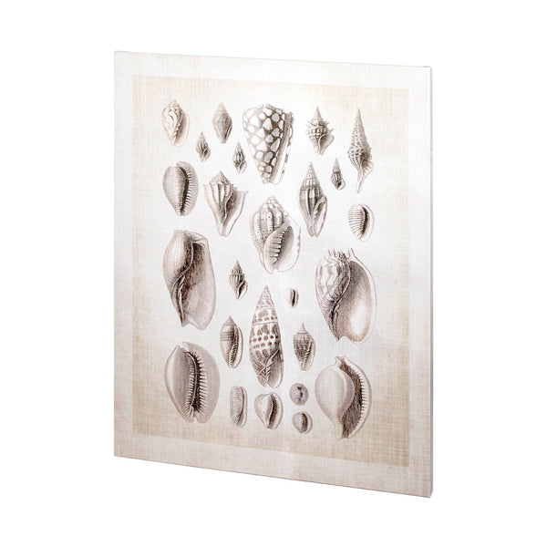 Ocean Shell Collection I by Christopher James a Hand Embellished Textured Canvas
