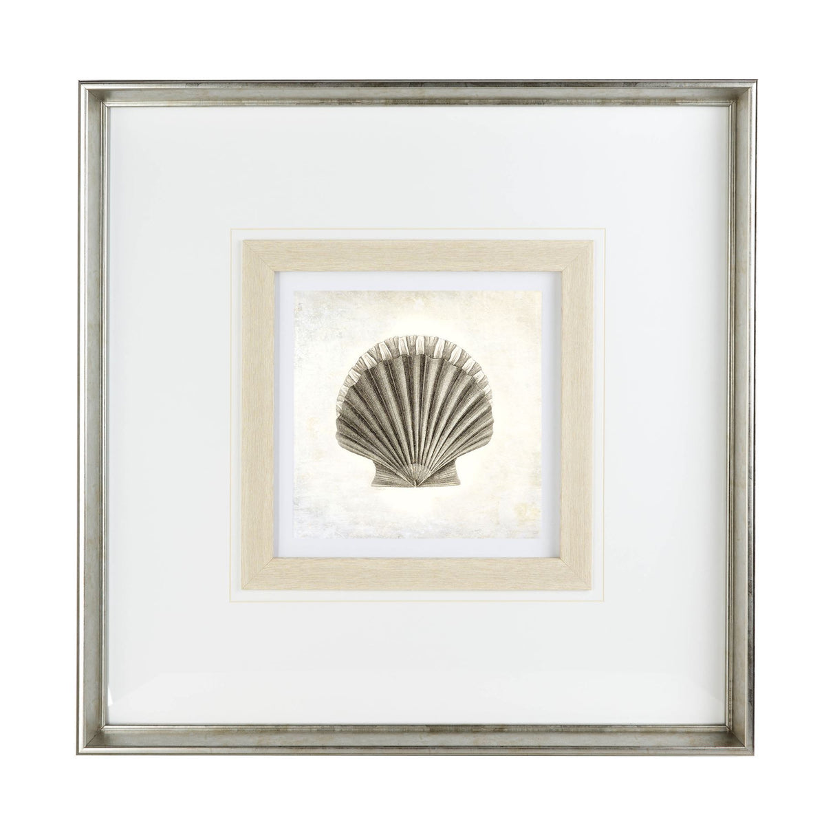 Vintage Scallop Shell by Mercana Studio a Framed Art Print Matted under Glass from Mercana - Luna Furniture