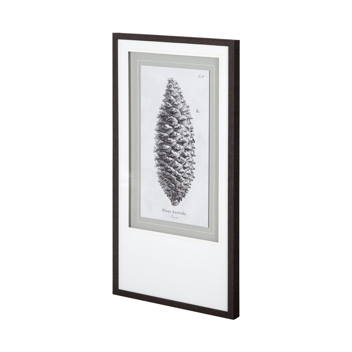 Pinus Australis by Maria Mendez a Framed Art Print Matted under Glass from Mercana - Luna Furniture