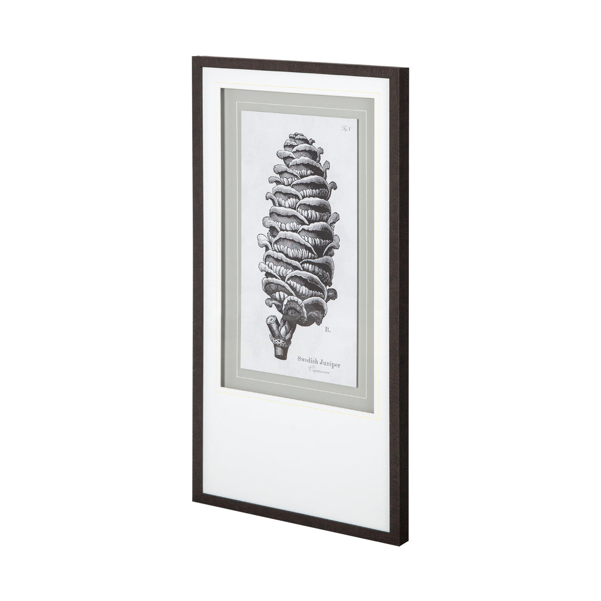 Swedish Juniper by Maria Mendez a Framed Art Print Matted under Glass from Mercana - Luna Furniture