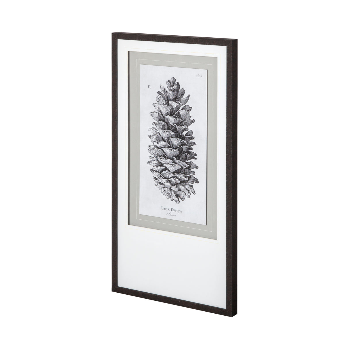 Larix Europa by Maria Mendez a Framed Art Print Matted under Glass from Mercana - Luna Furniture