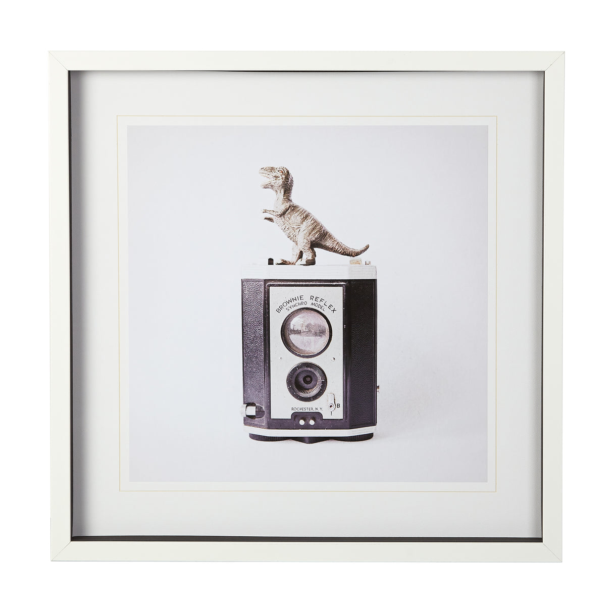 T-rex & Vintage Camera by Susannah Tucker Photography a Framed Photo Art Print Matted under Glass from Mercana - Luna Furniture