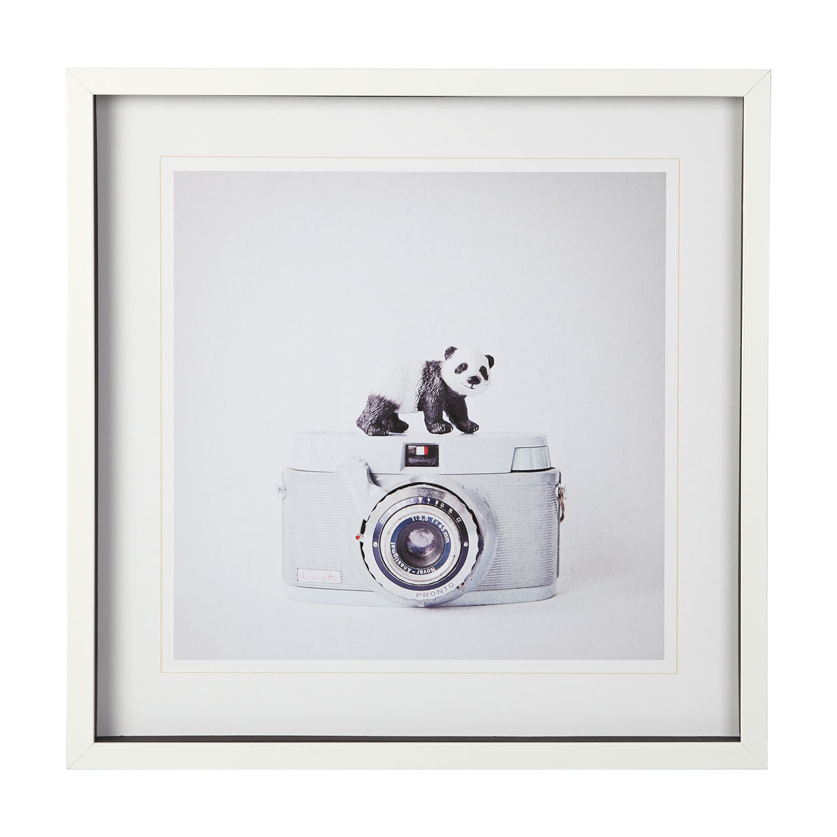 Panda & Vintage Camera by Susannah Tucker Photography a Framed Photo Art Print Matted under Glass from Mercana - Luna Furniture