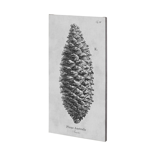Pinus Australis by Mercana Studio a Hand Embellished Textured Canvas