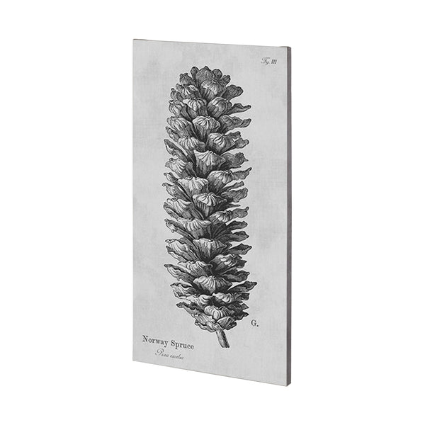 Norway Spruce by Mercana Studio a Hand Embellished Textured Canvas