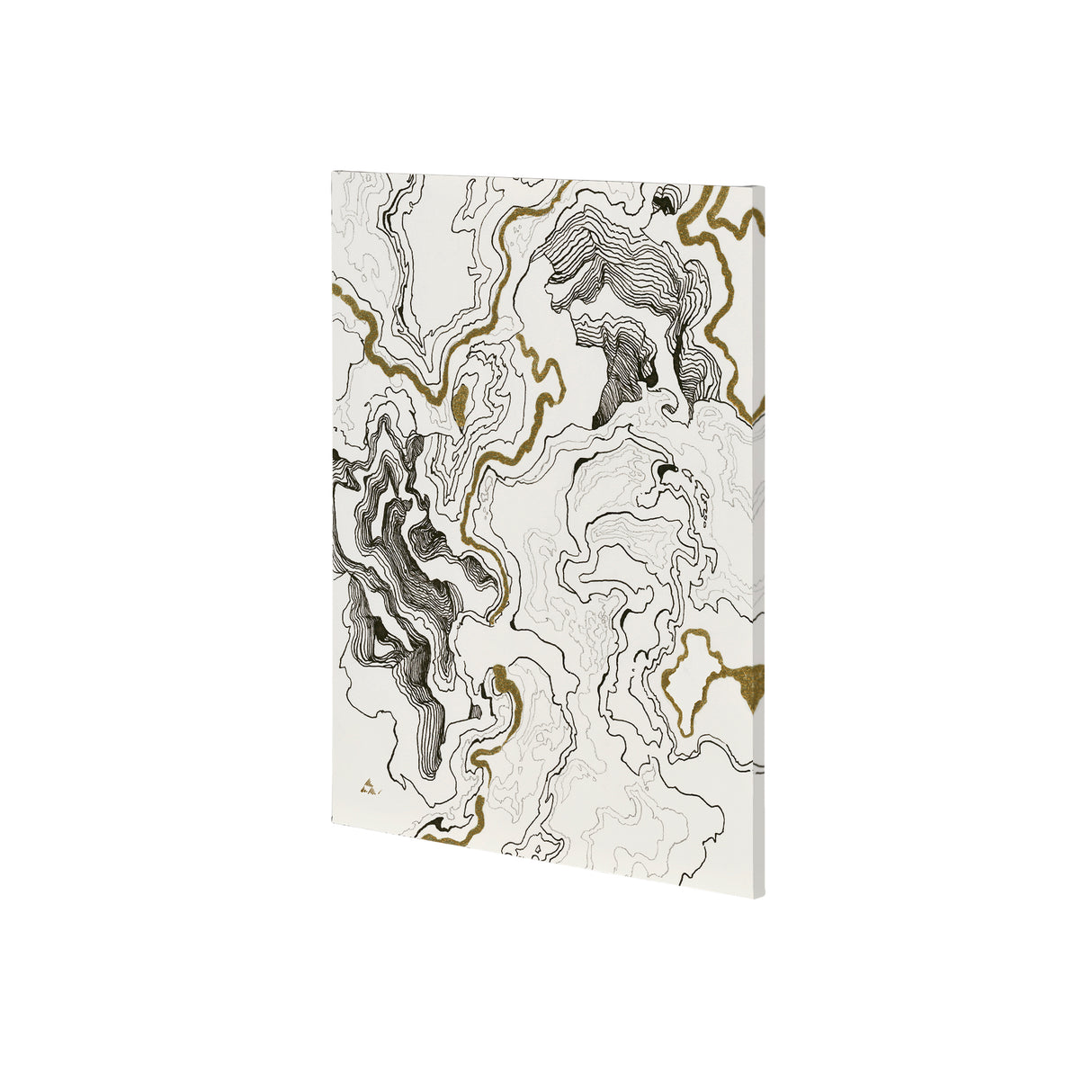 Topography II by Mercana Studio a Hand Embellished Textured Canvas from Mercana - Luna Furniture