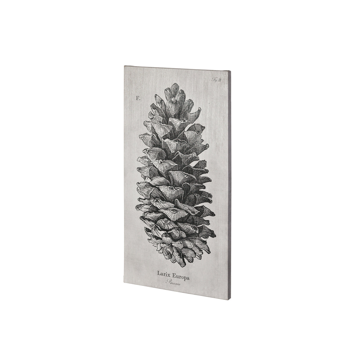 Larix Europa by Mercana Studio a Hand Embellished Textured Canvas from Mercana - Luna Furniture