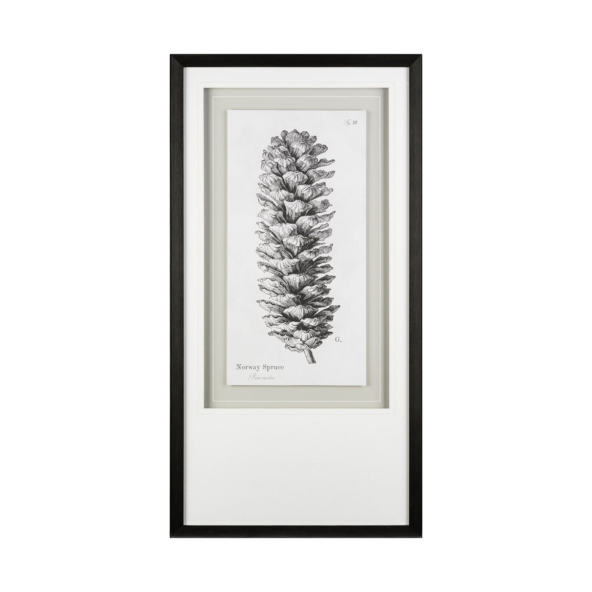 Norway Spruce by Maria Mendez a Framed Art Print Matted under Glass from Mercana - Luna Furniture