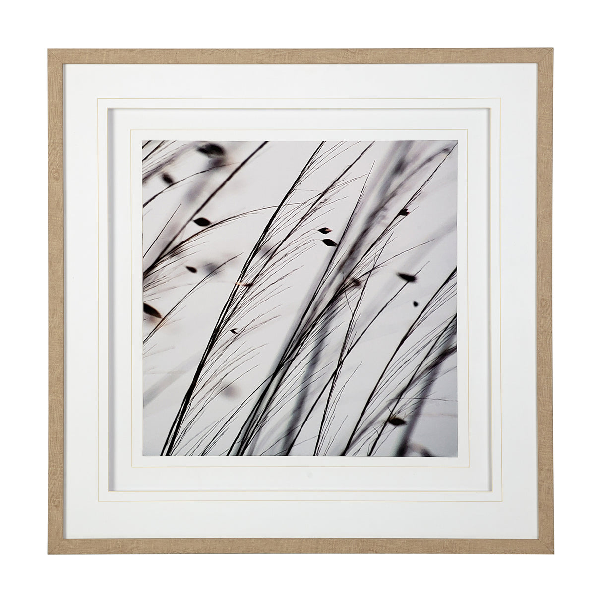 Organic II by Tony Koukos a Hand Embellished Textured Framed Art Photograph Matted under Glass from Mercana - Luna Furniture