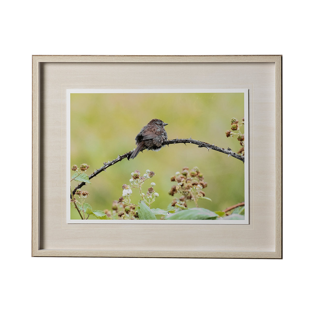 untitled by Nancy Crowell a Framed Photo Art Print Matted under Glass from Mercana - Luna Furniture