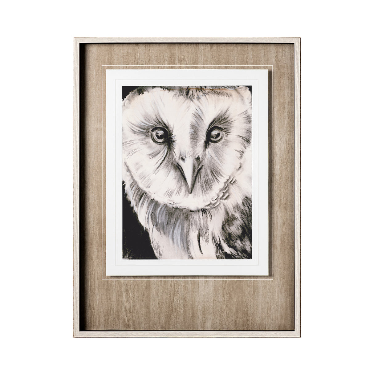 Charcoal Owl II by Jennifer Paxton Parker a Framed Art Print Matted under Glass from Mercana - Luna Furniture