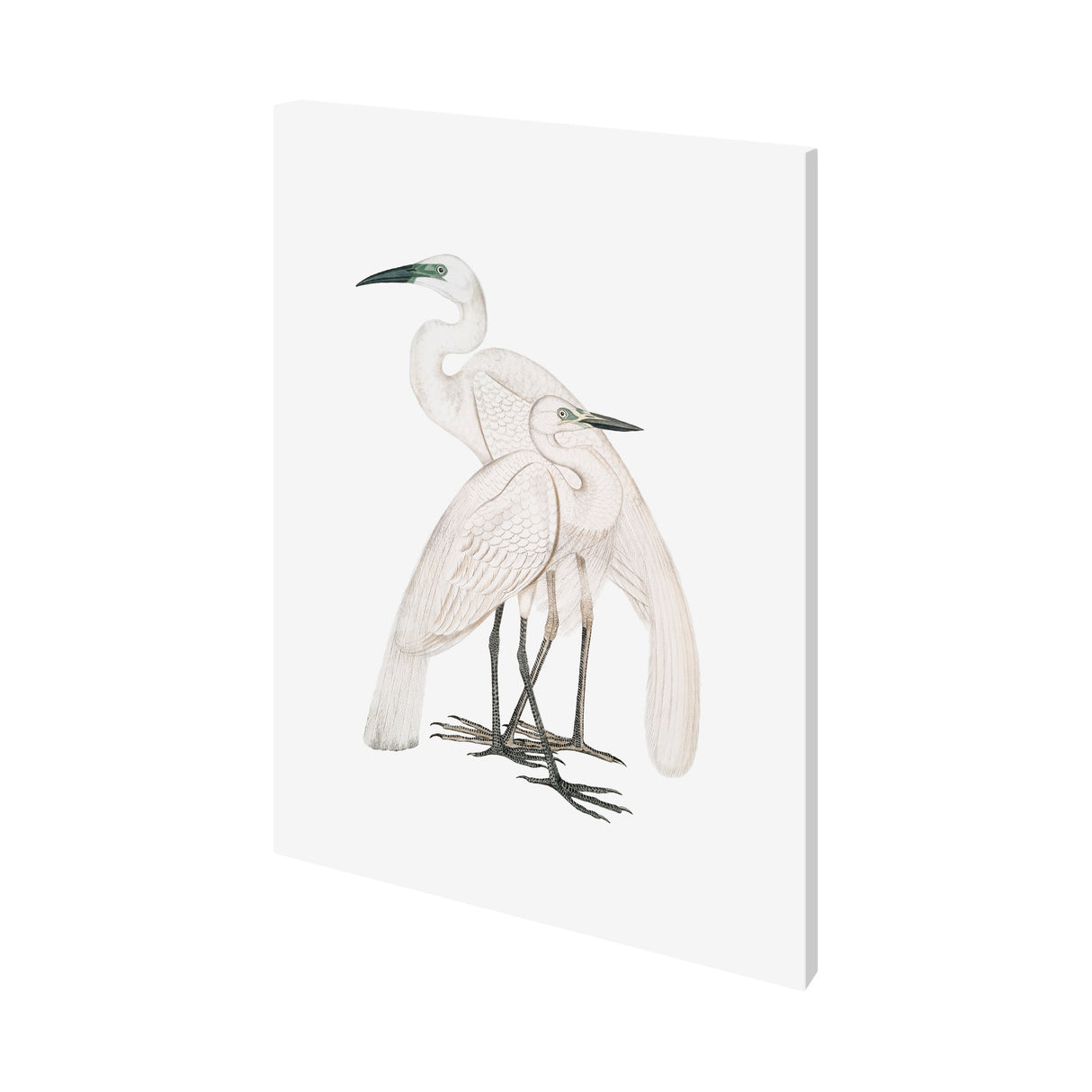Black Billed Heron by Maria Mendez a Hand Embellished Textured Canvas from Mercana - Luna Furniture