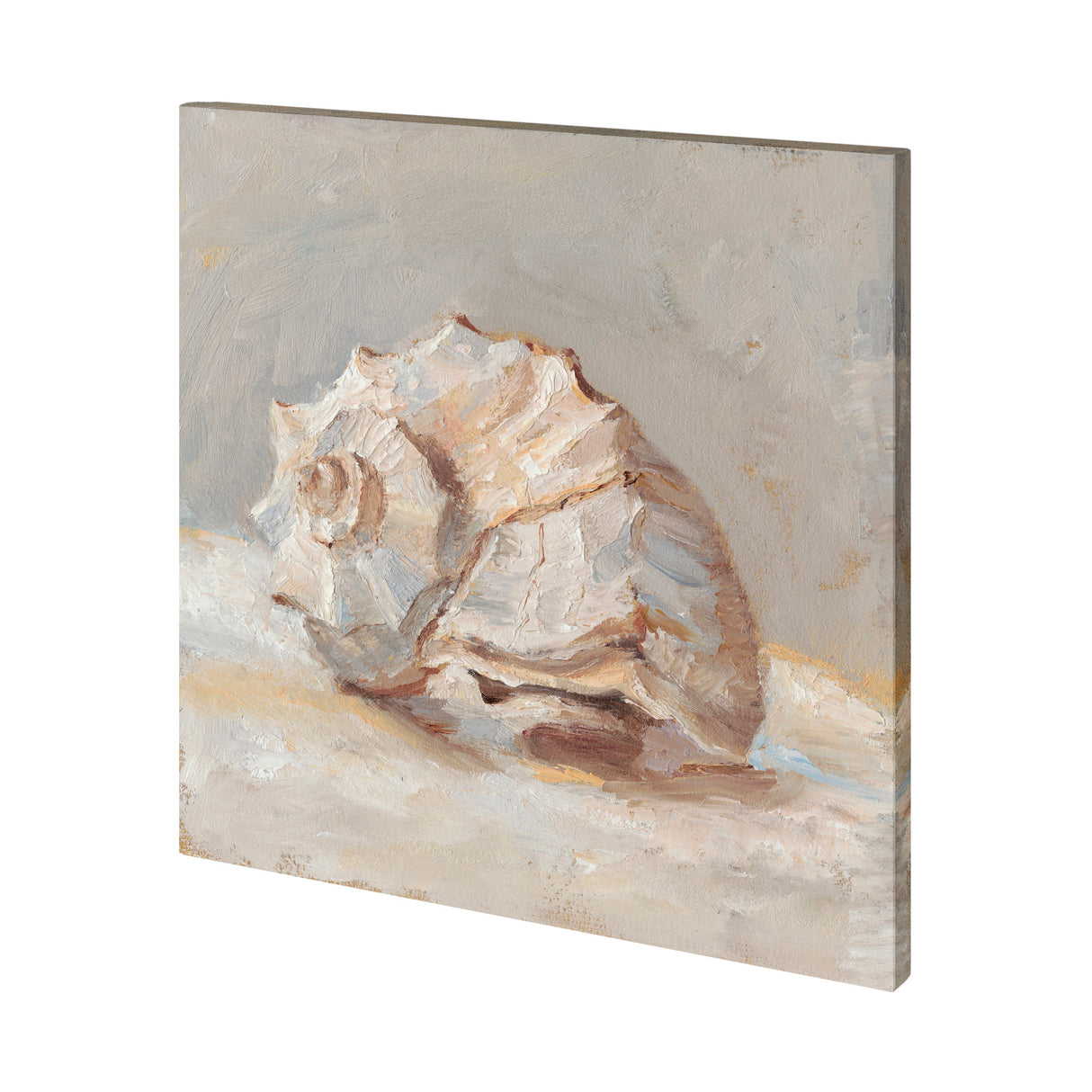 Impressionist Shell Study II by Mercana Studio a Hand Embellished Textured Canvas from Mercana - Luna Furniture