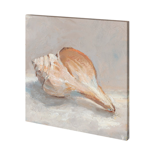 Impressionist Shell Study III by Mercana Studio a Hand Embellished Textured Canvas