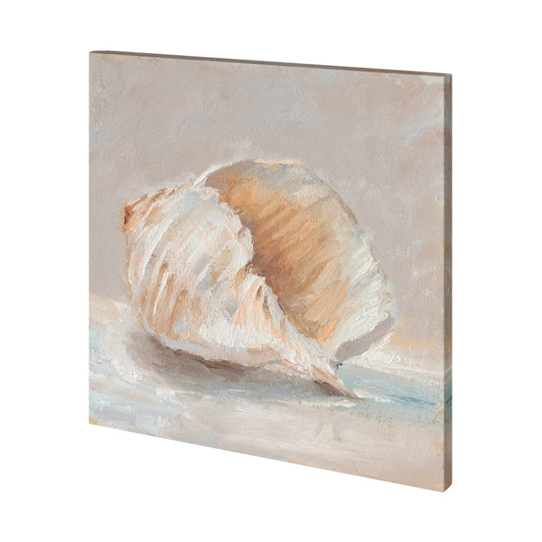 Impressionist Shell Study IV by Mercana Studio a Hand Embellished Textured Canvas