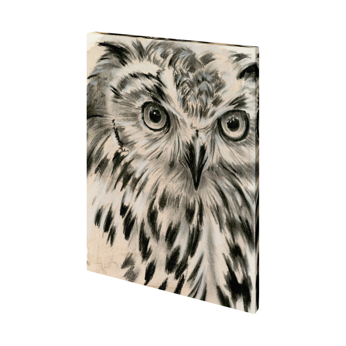 Charcoal Owl I by Jennifer Paxton Parker a Hand Embellished Textured Canvas from Mercana - Luna Furniture