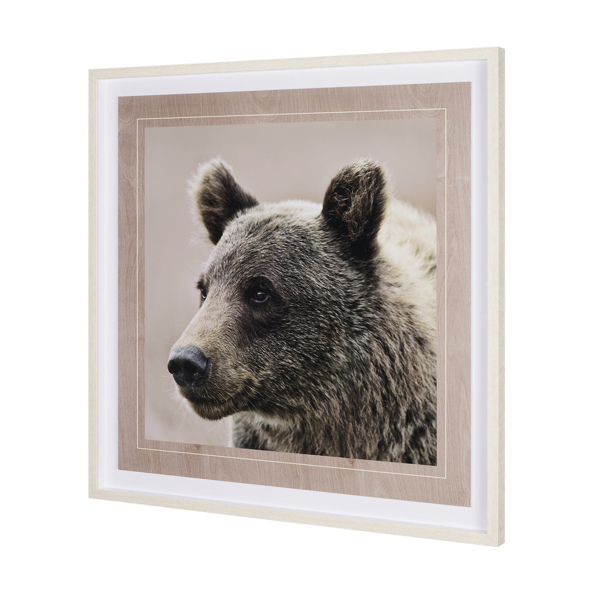 Bear Focus - Hush by Wink Gaines a Hand Embelished Textured Framed Art Photo Matted under Glass from Mercana - Luna Furniture