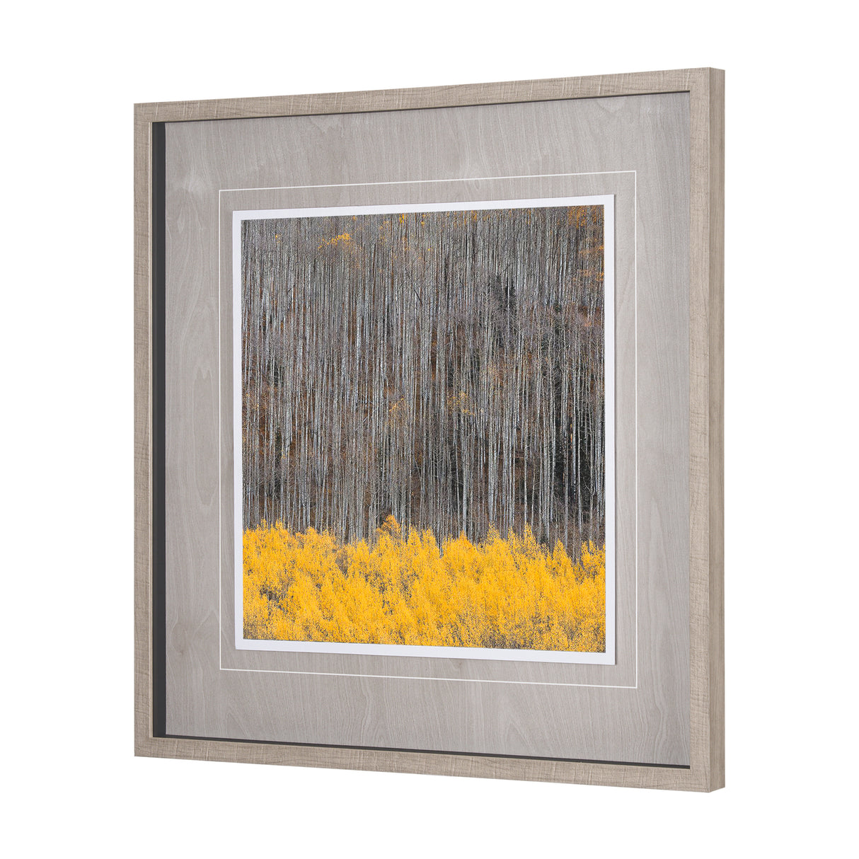 Aspen Trees 4 by Jamie Cook a Hand Embelished Textured Framed Photo Art Print Matted under Glass from Mercana - Luna Furniture