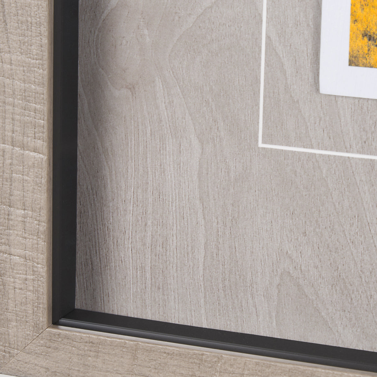 Aspen Trees 4 by Jamie Cook a Hand Embelished Textured Framed Photo Art Print Matted under Glass from Mercana - Luna Furniture