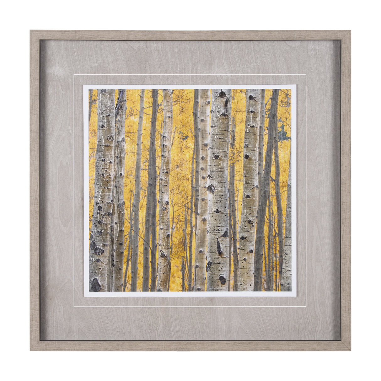 Aspen Trees 3 by Jamie Cook a Hand Embelished Textured Framed Photo Art Print Matted under Glass from Mercana - Luna Furniture