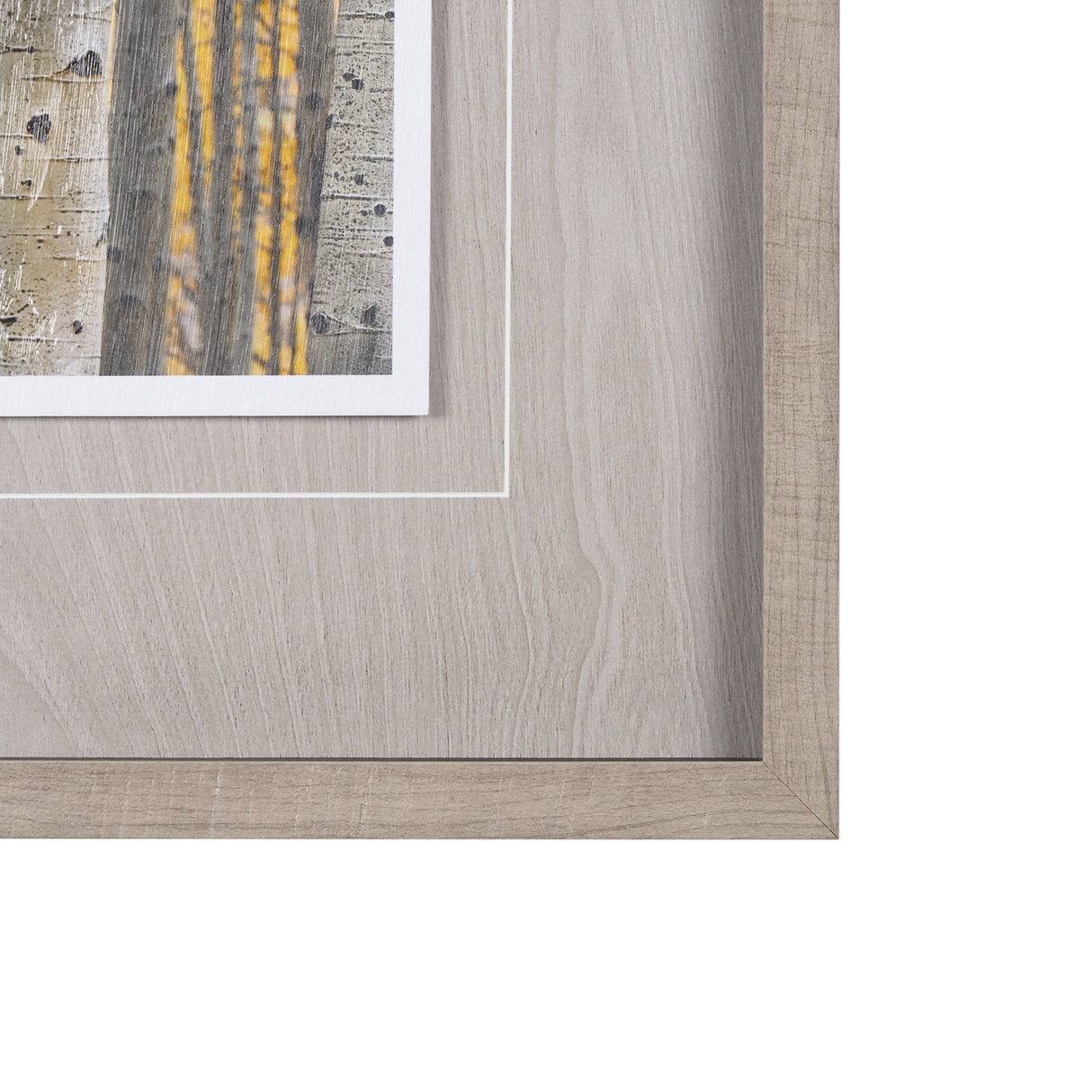 Aspen Trees 3 by Jamie Cook a Hand Embelished Textured Framed Photo Art Print Matted under Glass from Mercana - Luna Furniture
