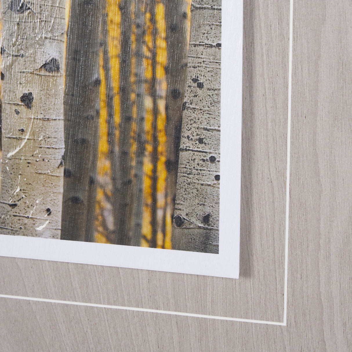 Aspen Trees 3 by Jamie Cook a Hand Embelished Textured Framed Photo Art Print Matted under Glass from Mercana - Luna Furniture