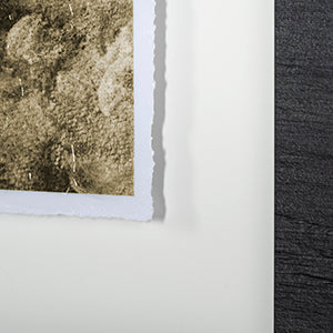 Rhino Green by Mercana Studio a Hand Embellished Textured Framed Art Print Matted under Glass from Mercana - Luna Furniture