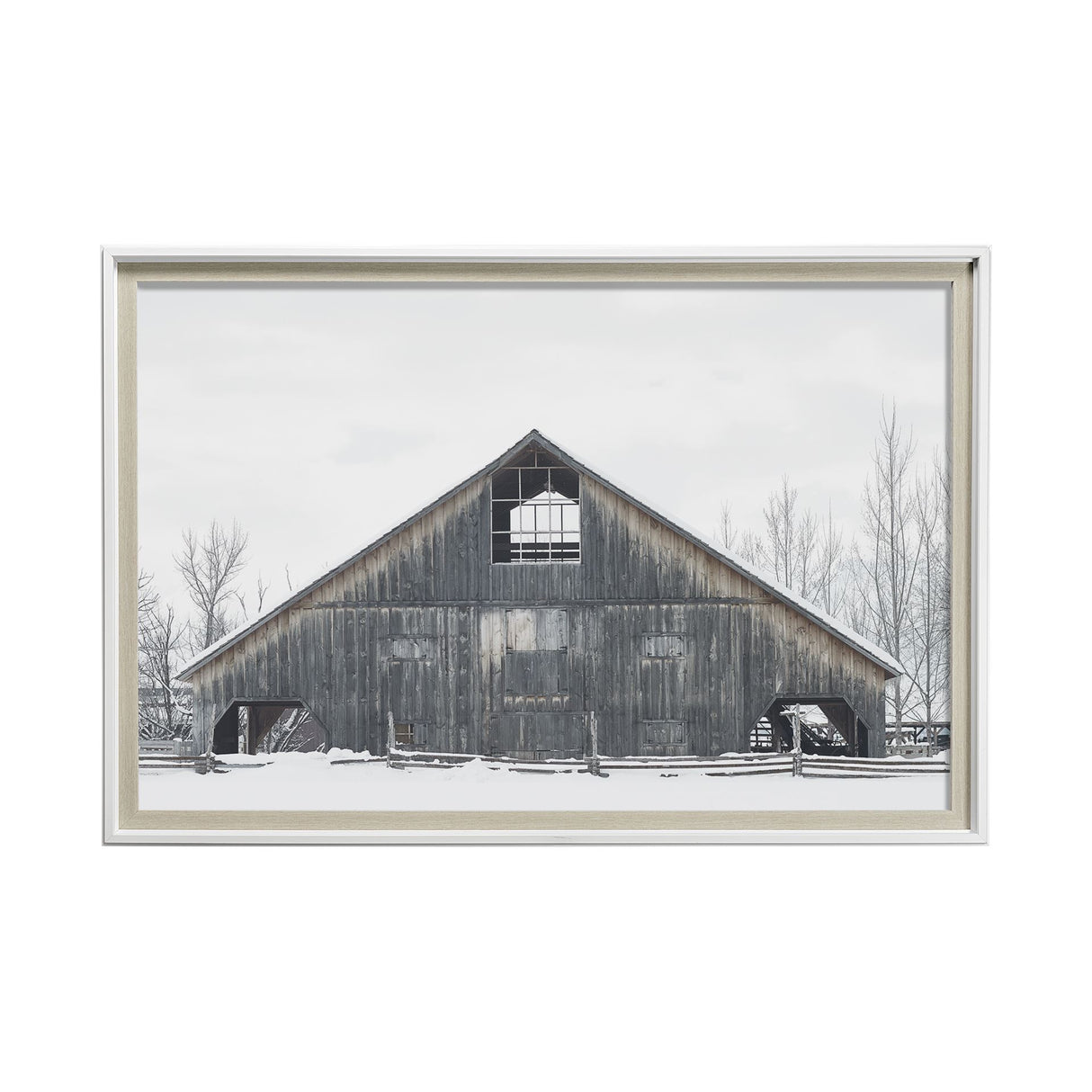 AWHC Barn 2 by Chris Dunker a Framed Photo Art Print Matted under Glass from Mercana - Luna Furniture