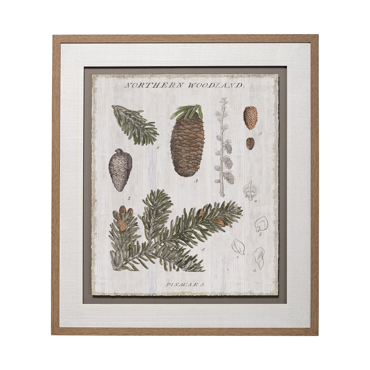 Woodland Chart IV by Sue Schlabach a Hand Embellished Textured Framed Art Print Matted under Glass from Mercana - Luna Furniture