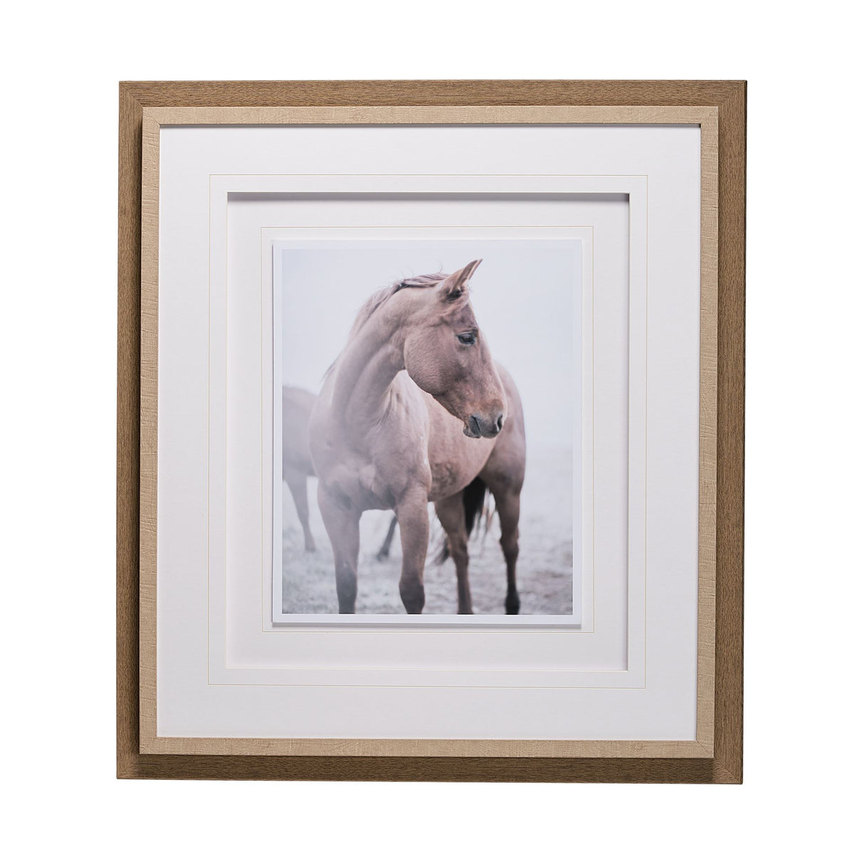 Horse 9 by Chris Dunker a Framed Photo Art Print Matted under Glass from Mercana - Luna Furniture