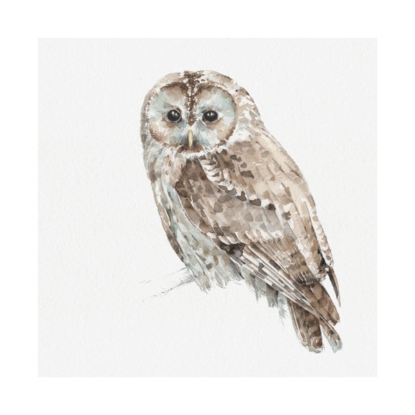 Forest Friends IX (Owl) by Lisa Audit a Hand Embellished Textured Canvas