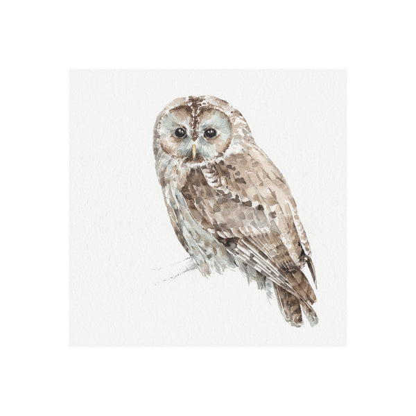 Forest Friends IX (Owl) by Lisa Audit a Hand Embellished Textured Canvas