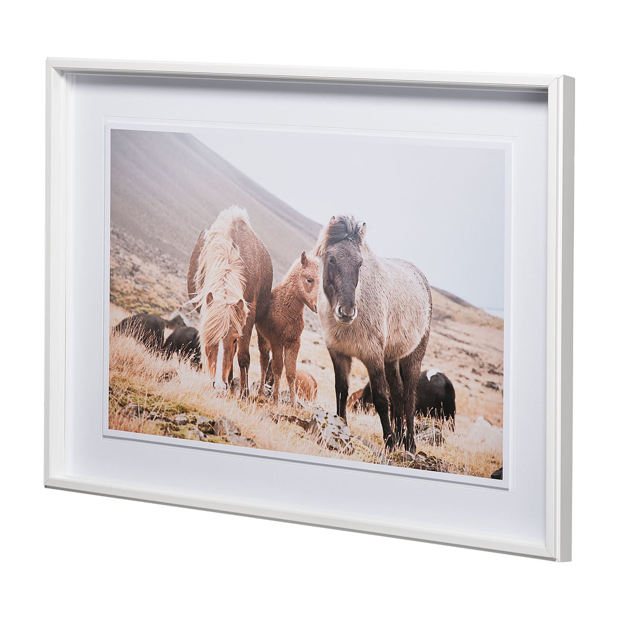 Horses of Hofn I by Laura Marshall a Framed Photo Art Print Matted under Glass from Mercana - Luna Furniture