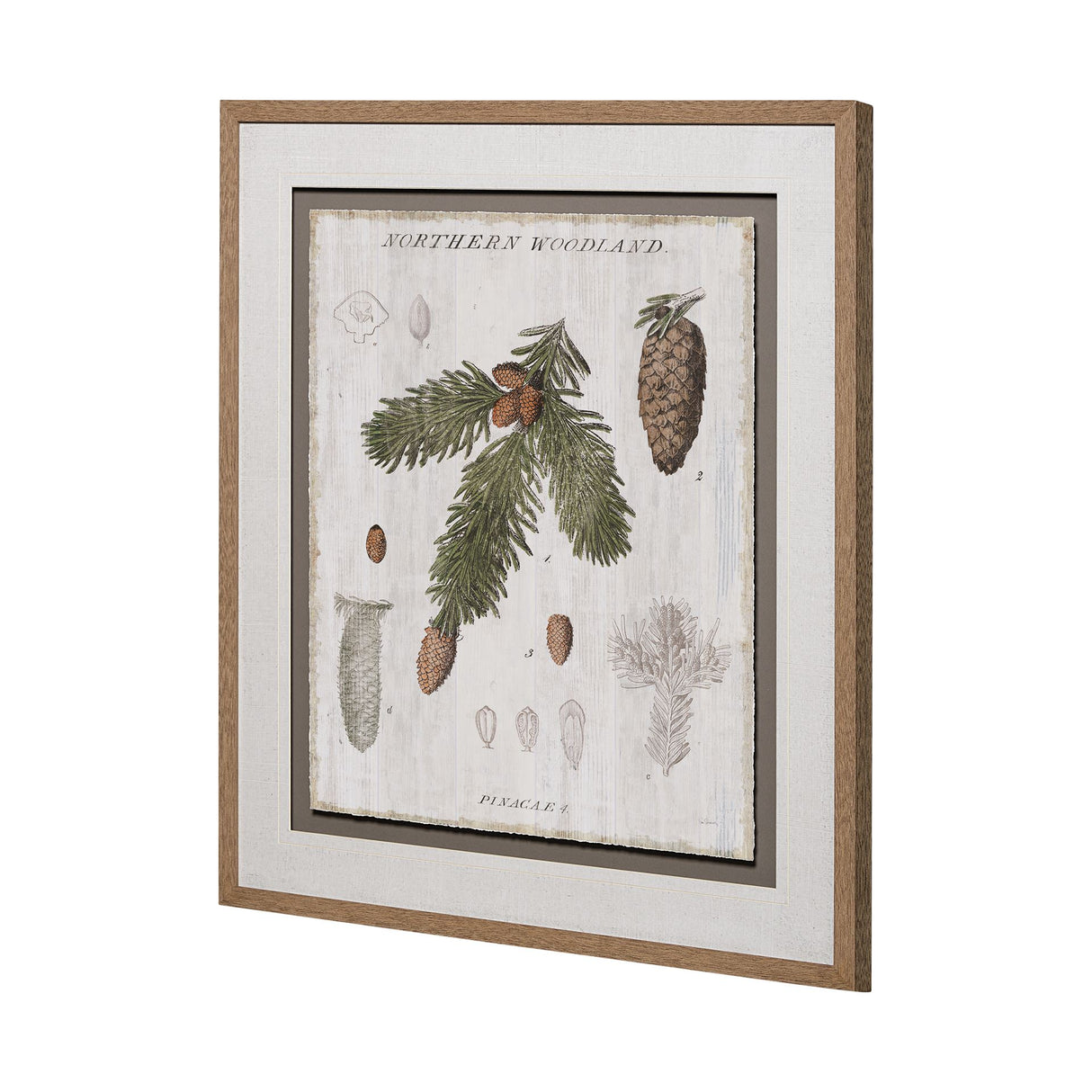 Woodland Chart V by Sue Schlabach a Hand Embellished Textured Framed Art Print Matted under Glass from Mercana - Luna Furniture