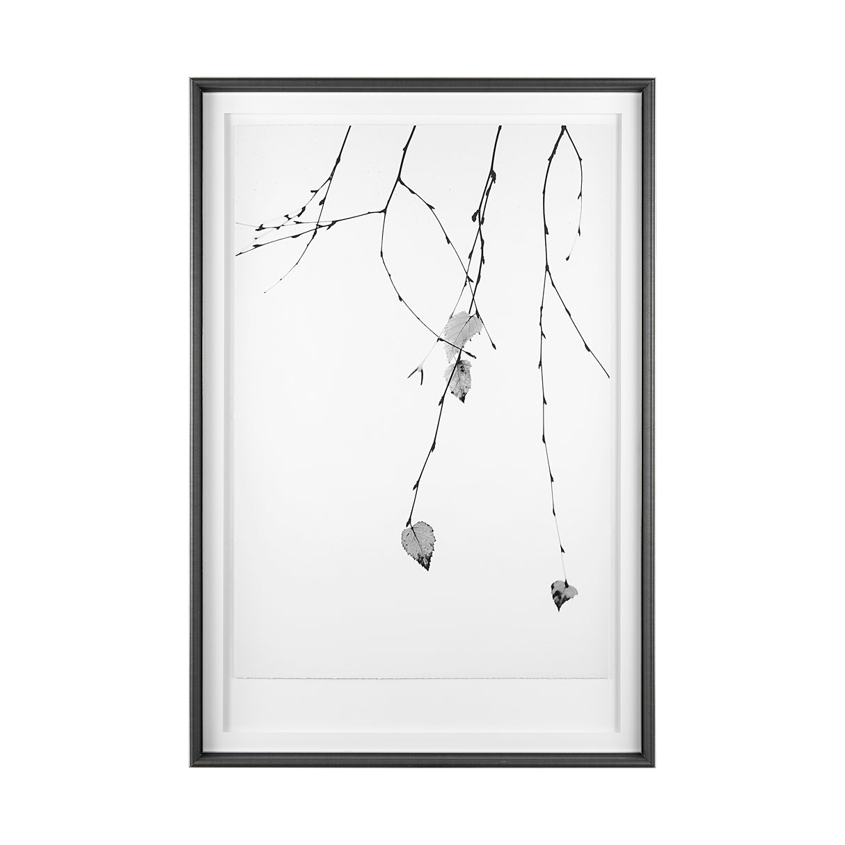 Solo by Rebecca Cozart a Hand Embellished Textured Framed Art Print Matted under Glass from Mercana - Luna Furniture
