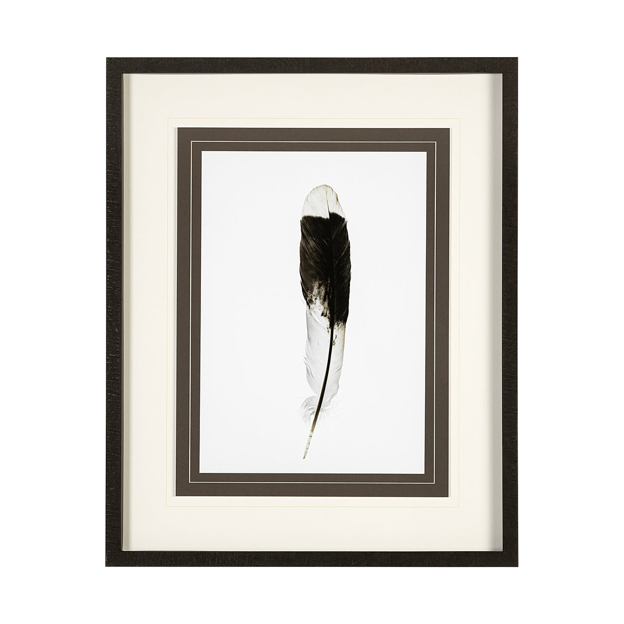 Flying solo by Nancy Crowell a Framed Art Print Matted under Glass from Mercana - Luna Furniture