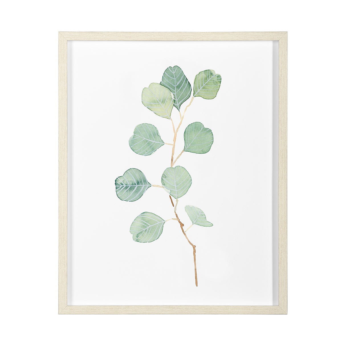 Soft Eucalyptus Branch IV by Emma Scarvey Hand Embellished Framed Art Print Matted under Glass from Mercana - Luna Furniture