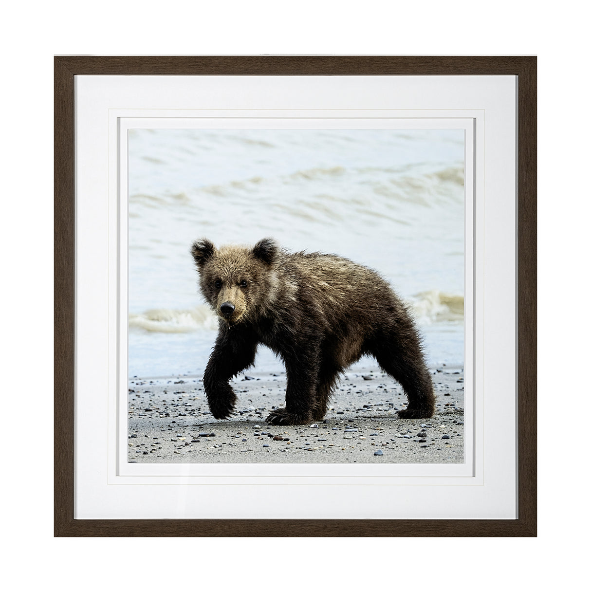 Curious Cub by Wink Gaines a Hand Embellished Textured Framed Art Photograph Matted under Glass from Mercana - Luna Furniture