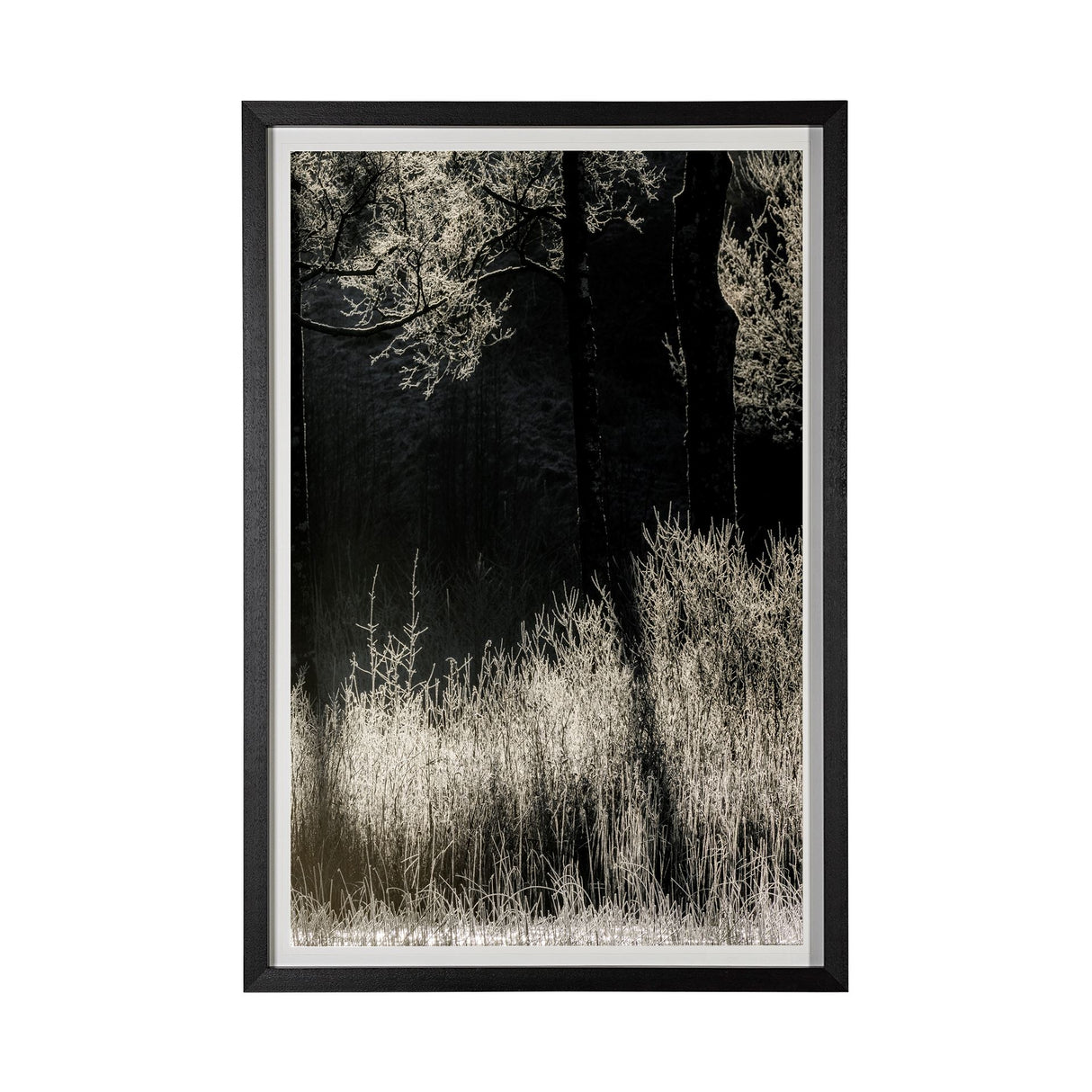 Tranquil Symmetry II by Mikael Svensson a Framed Photo Art Print Matted under Glass from Mercana - Luna Furniture