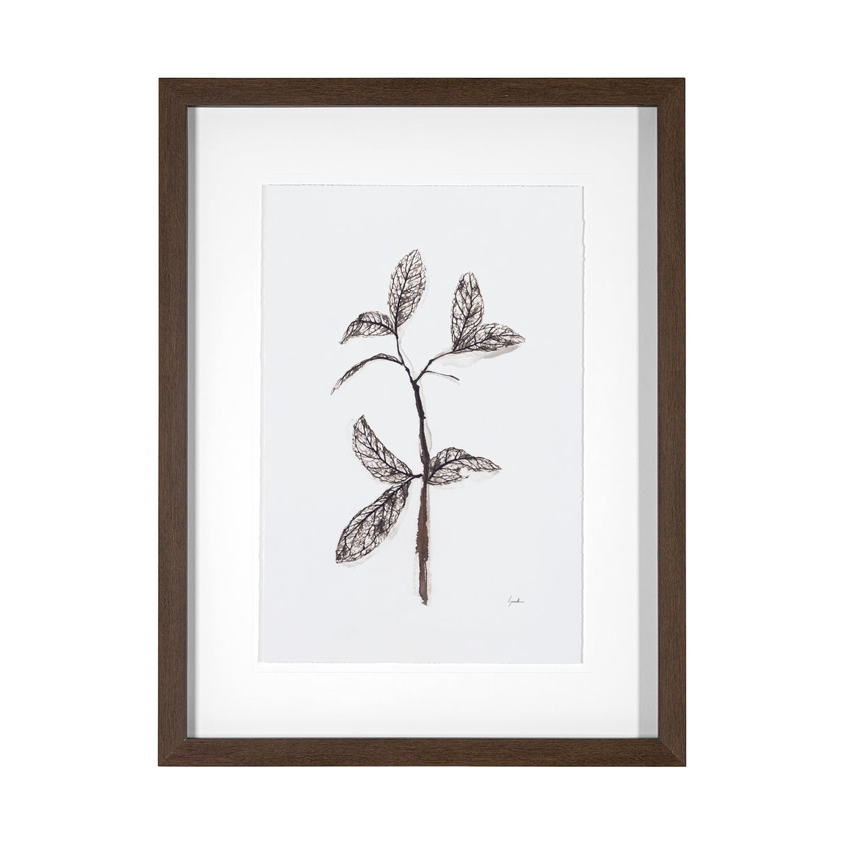 Olive Branch II by Gabrielle a Framed Art Print Matted under Glass from Mercana - Luna Furniture