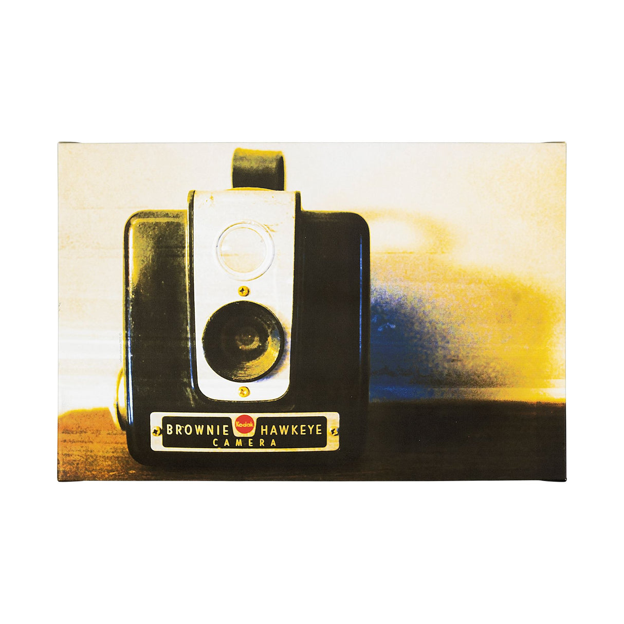 Hawkeye Vintage by Urban Octopus a Hand Embellished Textured Canvas from Mercana - Luna Furniture