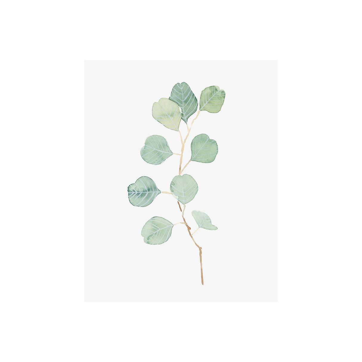 Soft Eucalyptus Branch IV by Emma Scarvey a Hand Embellished Textured Canvas from Mercana - Luna Furniture