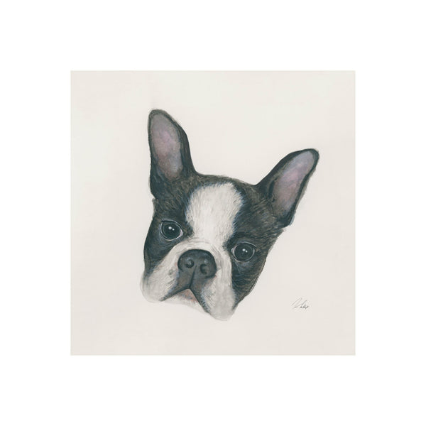 Floyd (Boston Terrier 1) by Mercana Studio a Hand Embellished Textured Canvas