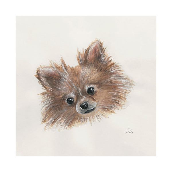 Frankie (Pomeranian 1) by Mercana Studio a Hand Embellished Textured Canvas