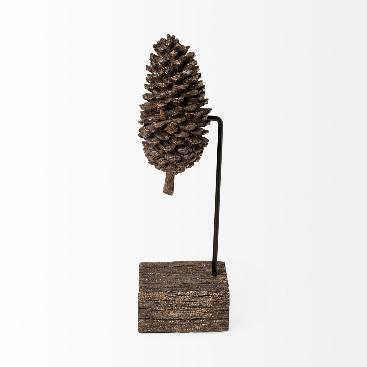 Pinterra (Small) 4L x 4W Brown Resin Pinecone Replica from Mercana - Luna Furniture
