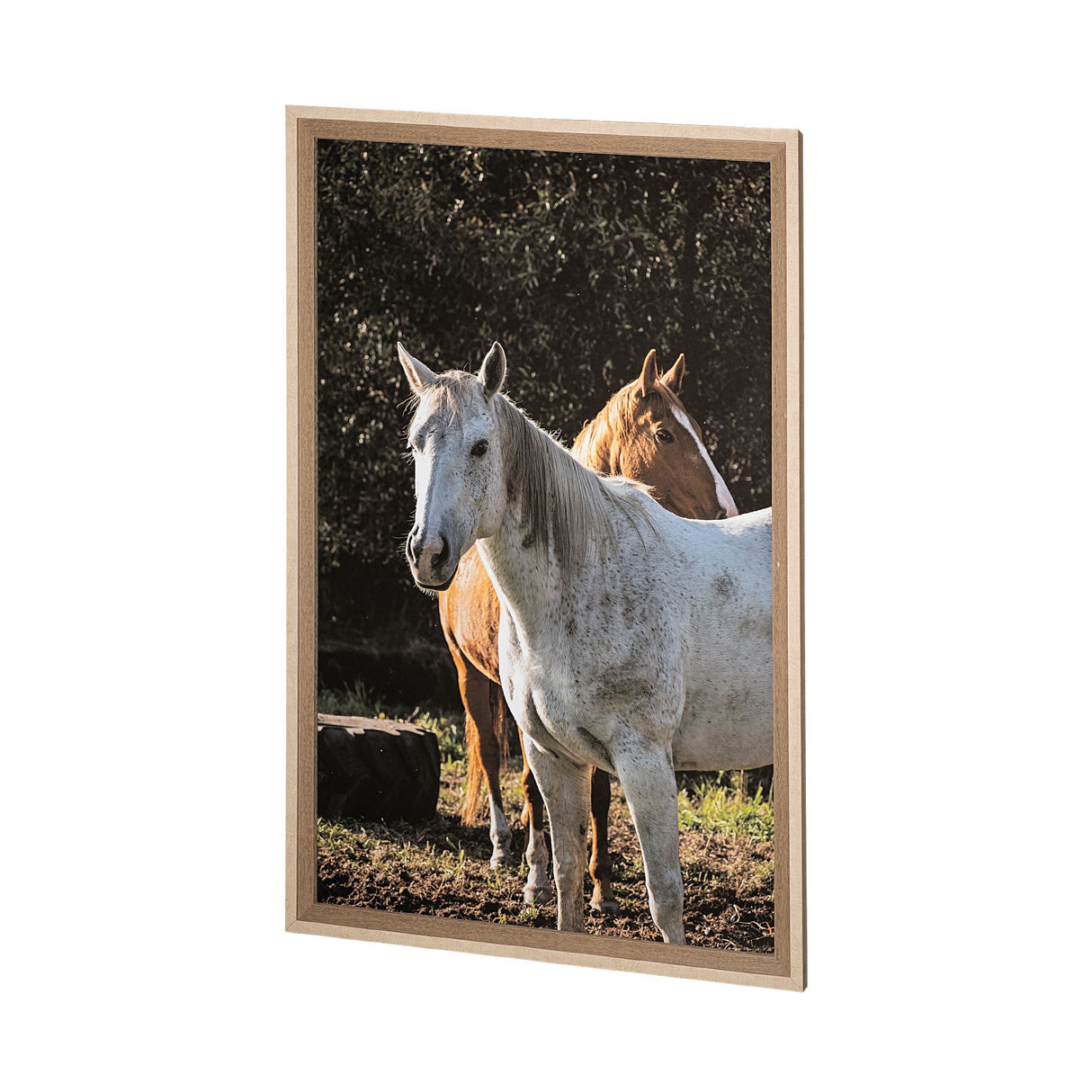 Rebel & Tinder by Katelyn Mostert a Framed Photo Art Print Matted under Glass from Mercana - Luna Furniture