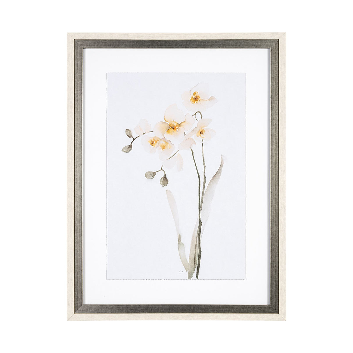 Orchid II by Gabrielle Campbell a Framed Art Print Matted under Glass from Mercana - Luna Furniture